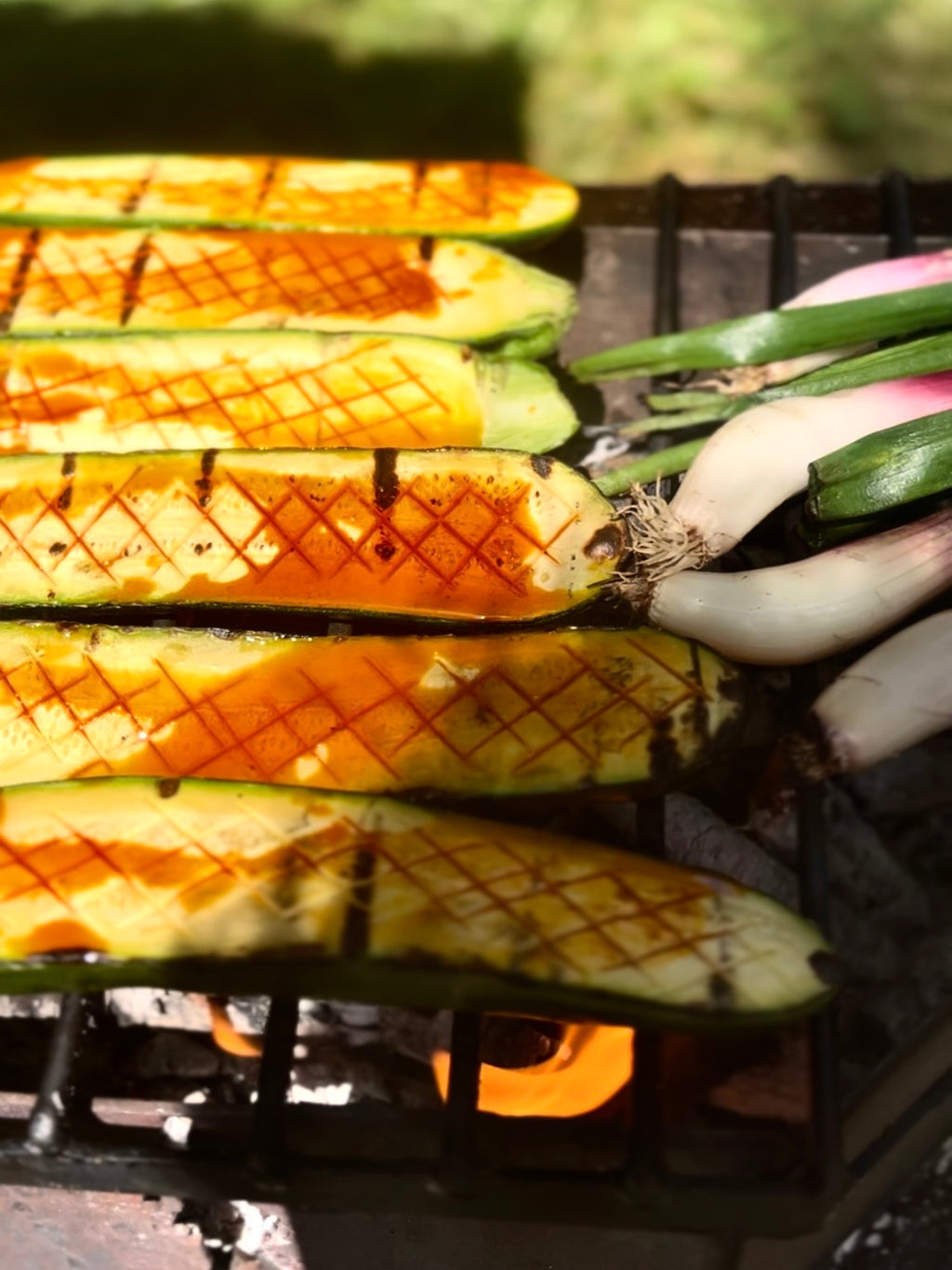 "Nomade" BBQ/CYCLES - ANTIGUO